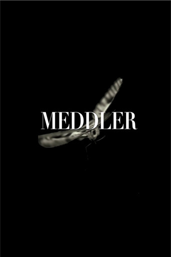 Meddler movie poster