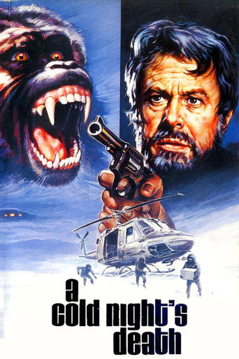 A Cold Night's Death movie poster