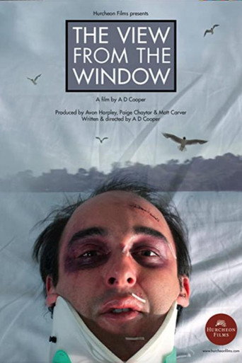 The View From The Window movie poster