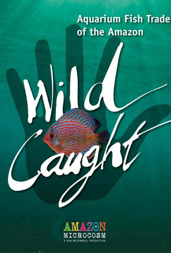 Wild Caught: Aquarium Fish Trade of the Amazon movie poster