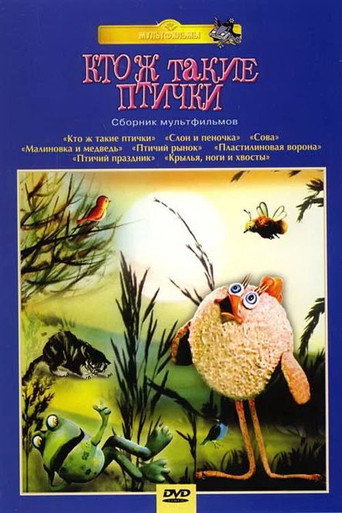 What Are Birds, Anyway? movie poster