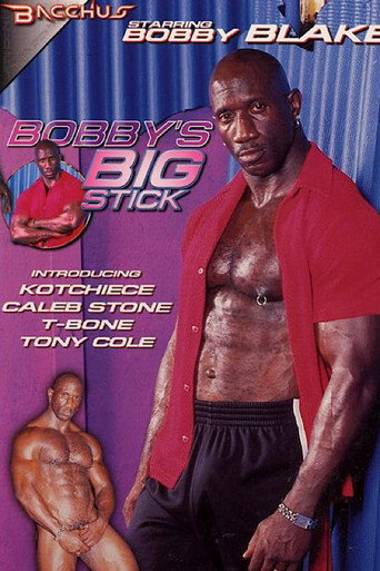 Bobby's Big Stick movie poster