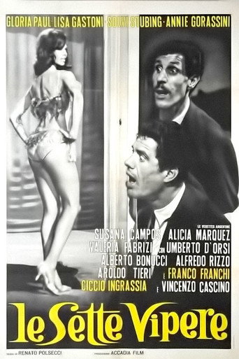 The Seven Vipers (The Latin Husband) movie poster