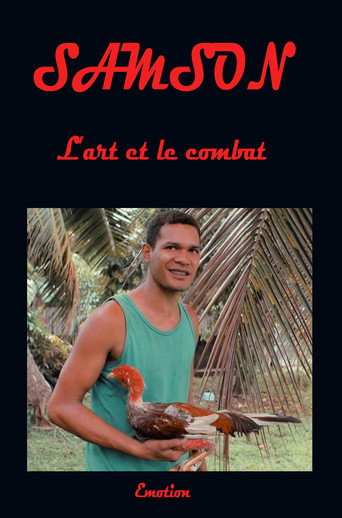 Samson art and combat movie poster