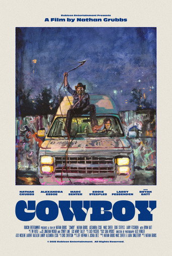 Cowboy movie poster