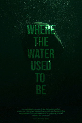 Where the Water Used to Be movie poster