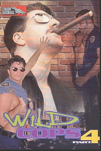 Wild Cops 4 movie poster