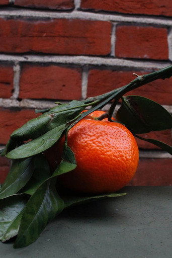 Orange Peel movie poster