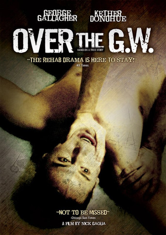 Over the GW movie poster