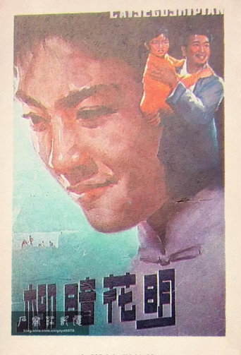 柳暗花明 movie poster