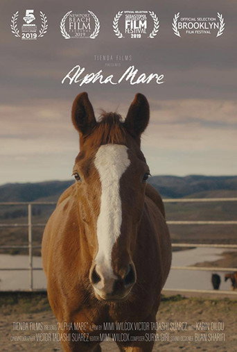 Alpha Mare movie poster