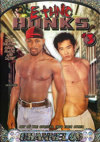 Ethnic Hunks 3 movie poster