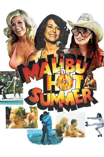 Malibu Hot Summer movie poster