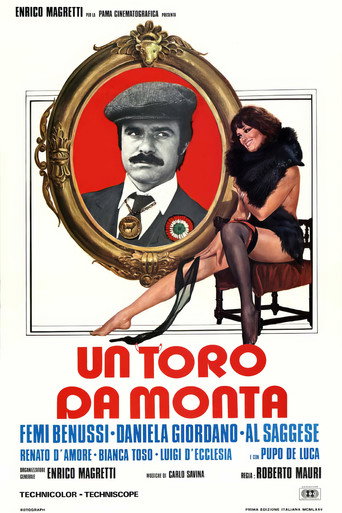 A Bull for Mounts movie poster