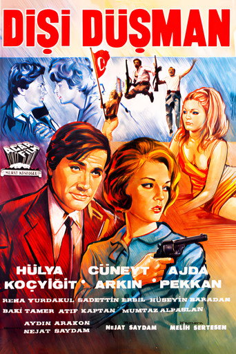 Dişi Düşman movie poster