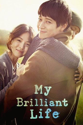 My Brilliant Life movie poster