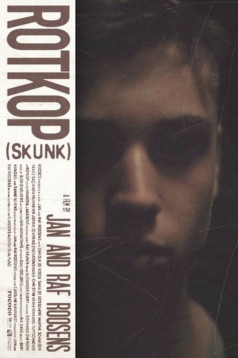 Skunk movie poster