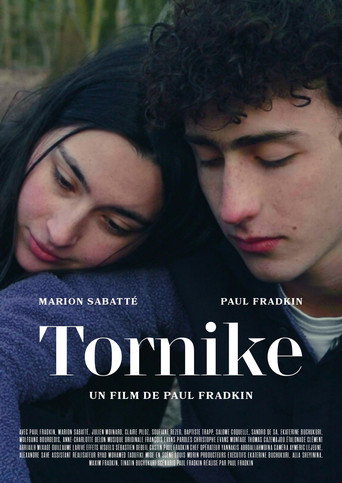 Tornike movie poster