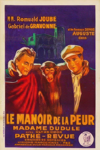 The Manor House of Fear movie poster