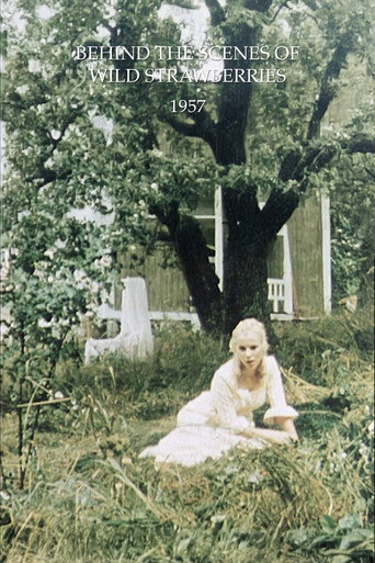 Behind the Scenes of Wild Strawberries movie poster
