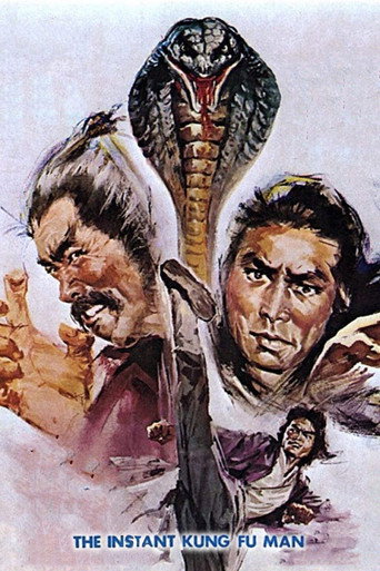 Instant Kung Fu Man movie poster