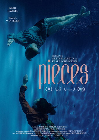 pieces movie poster