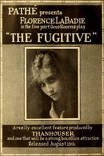 The Fugitive movie poster