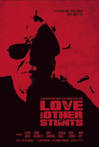 Love and Other Stunts movie poster