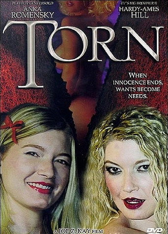 Summer Desire movie poster