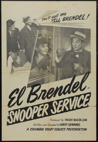 Snooper Service movie poster