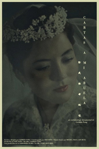 Letters to my Grandma movie poster