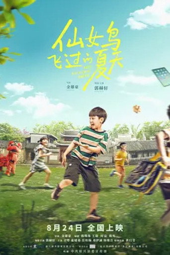 仙女鸟飞过的夏天 movie poster