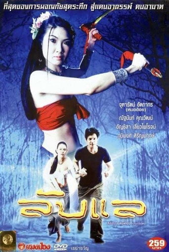 The Magical Portal movie poster