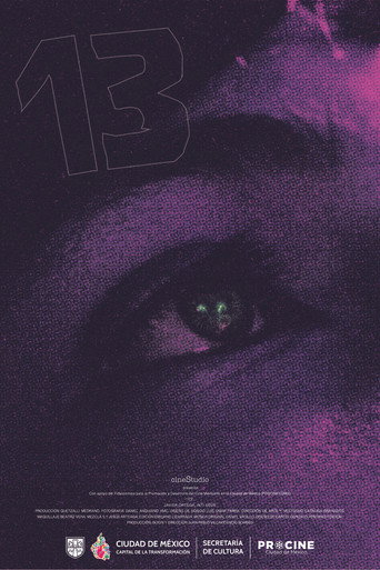 13 movie poster
