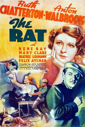 The Rat movie poster