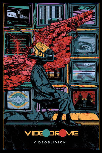 Videoblivion movie poster