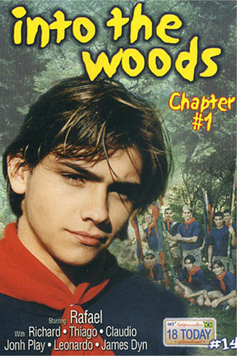 Into the Woods chapter 1 movie poster