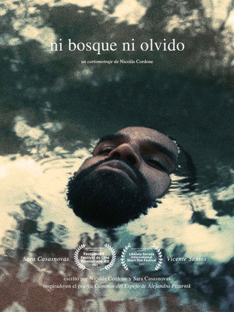 Neither forest nor oblivion movie poster