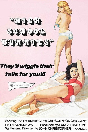 High School Bunnies movie poster