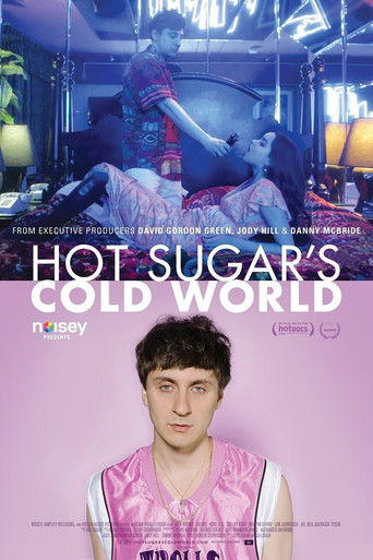 Hot Sugar's Cold World movie poster
