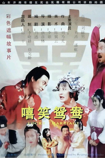 嘻笑鸳鸯 movie poster