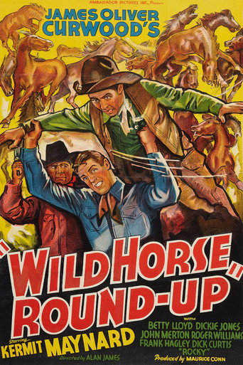 Wild Horse Round-Up movie poster