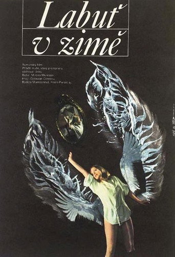 A Swan in Winter movie poster