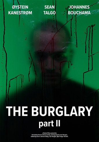 The Burglary: Part II movie poster