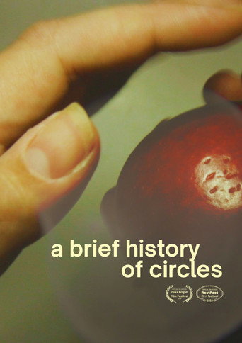 A Brief History of Circles movie poster