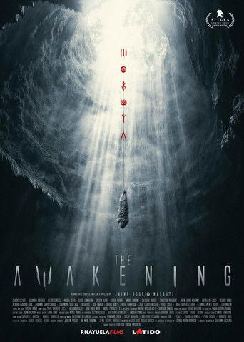 The Awakening movie poster