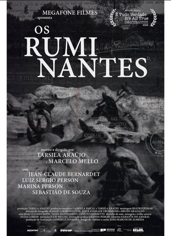 Os Ruminantes movie poster