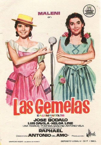 The Twins movie poster