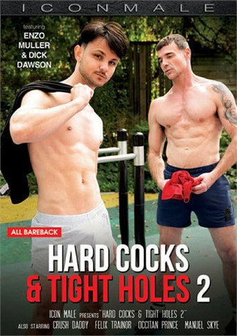 Hard Cocks & Tight Holes 2 movie poster