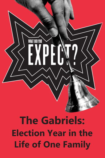 The Gabriels: Election Year in the Life of One Family, Play Two: What Did You Expect? movie poster